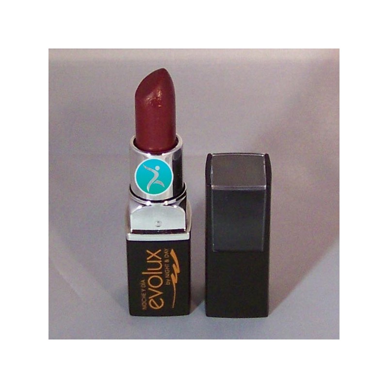 Barra de labios Lipstick Nº 1 Evolux